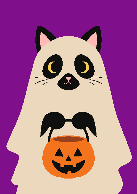 Spookkat — schilderen op nummer